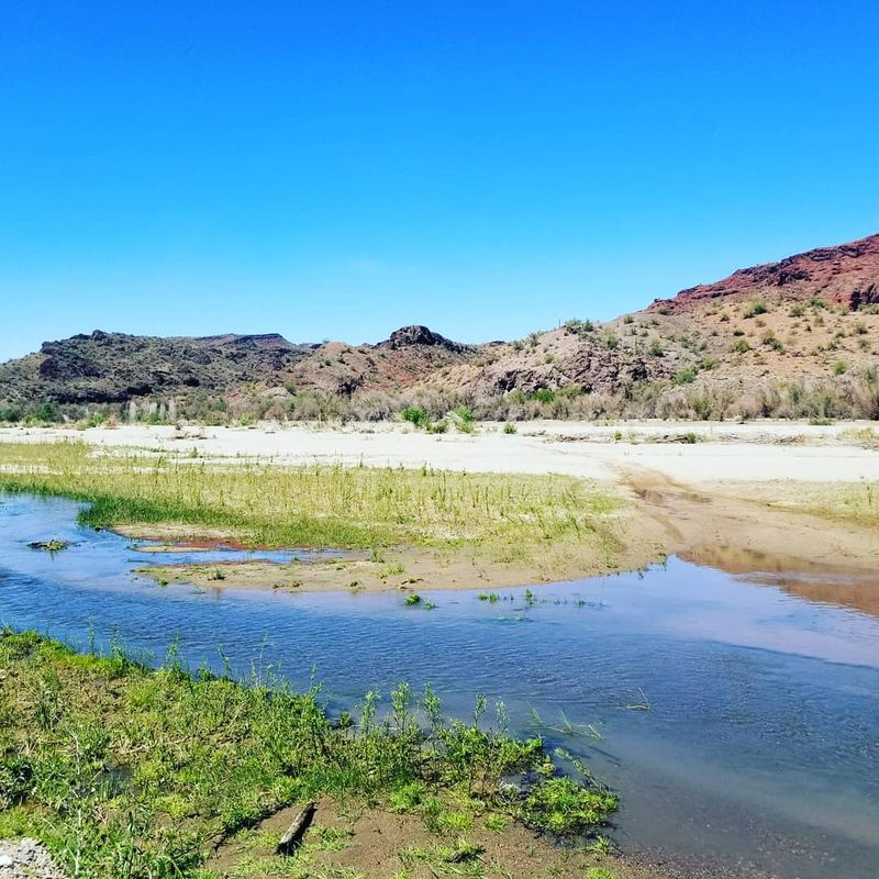 Arizona Summer Looks Better From The Water