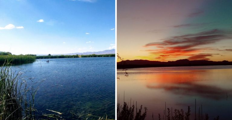 Arizona’s Best-Kept Secret Is Waiting Inside This Picturesque Desert Park