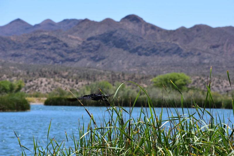Arizona's Tax-Friendly PolicyFor Retirees