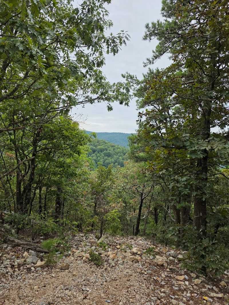 Scenic Ridges And Forest Paths Await