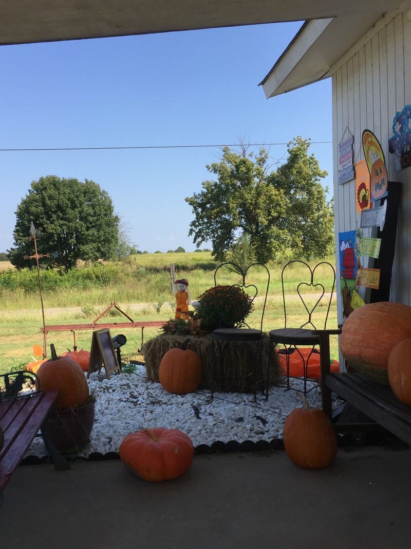 Arkansas Black Apples Draw A Crowd
