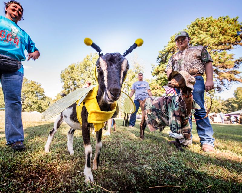 Arkansas Goat Festival, Perryville Arkansas Goat Festival, Perryville