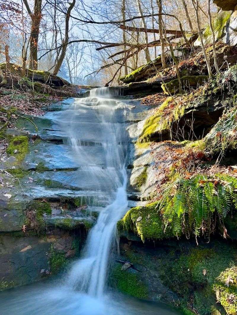 Alum Cove Natural Bridge Recreation Area
