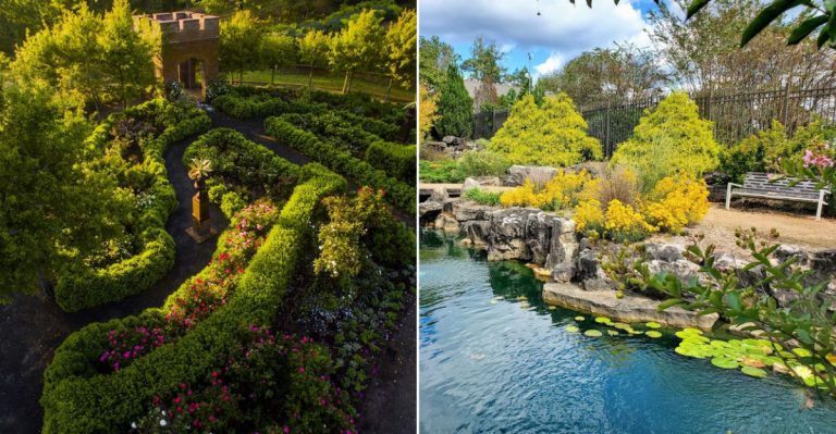 Arkansas’ Most Photogenic Gardens For A Beautiful Day Trip
