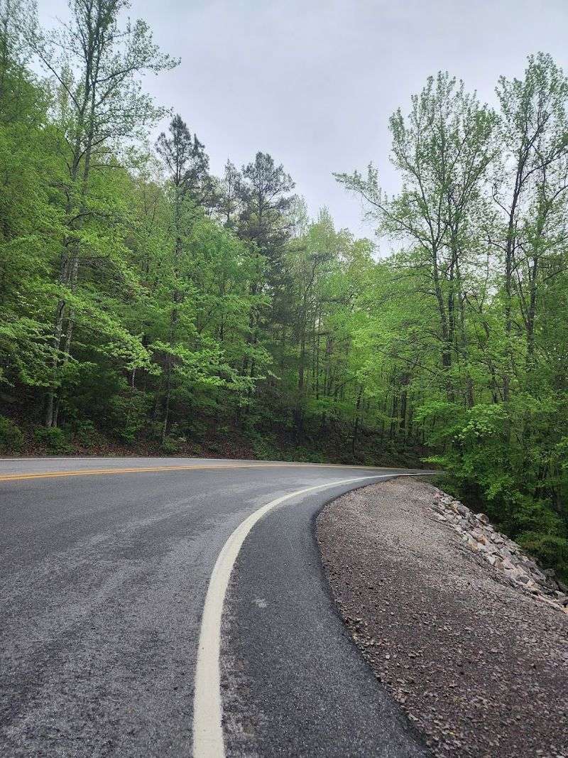 Pig Trail Scenic Byway