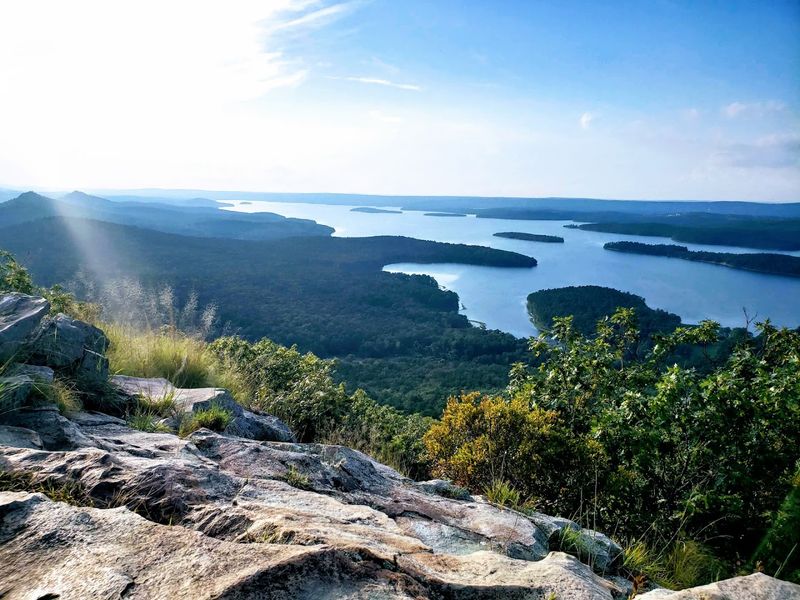 Pinnacle Mountain State Park, Roland