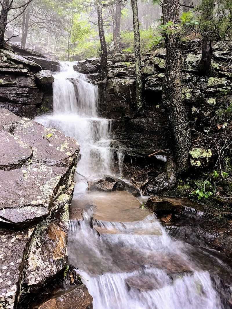 Varnall Springs Trail, Dardanelle