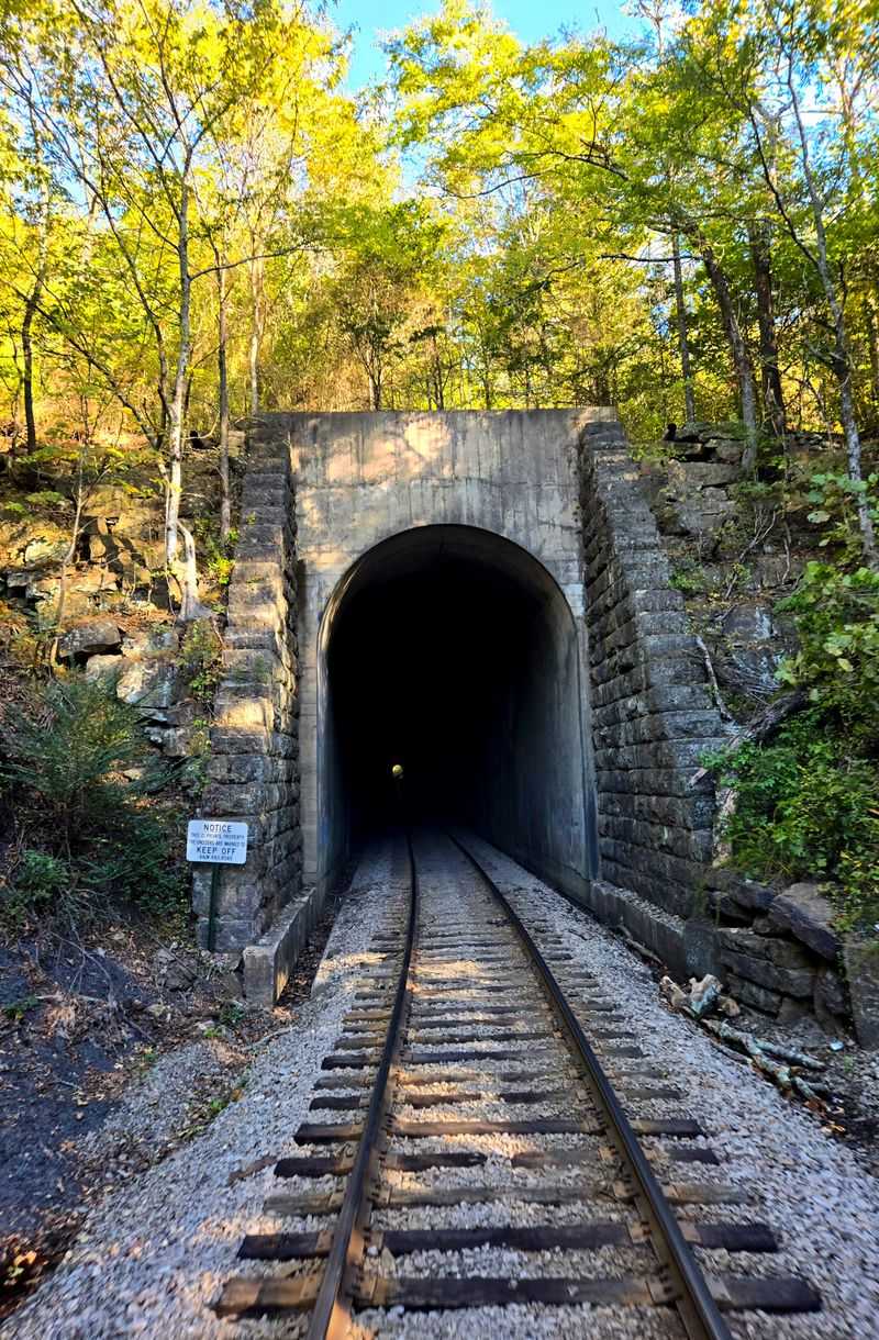 Arkansas & Missouri Railroad Springdale To Van Buren Excursion