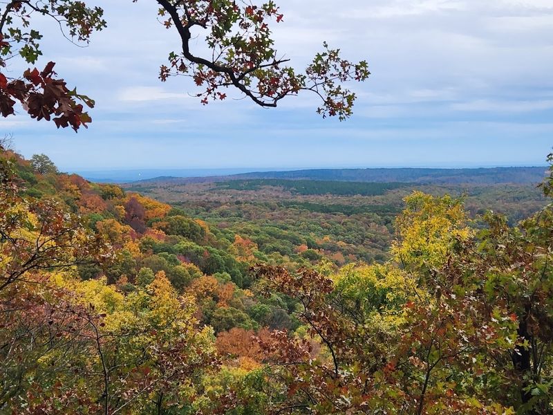 Ozark Highlands Drive (Highway 21 Corridor)