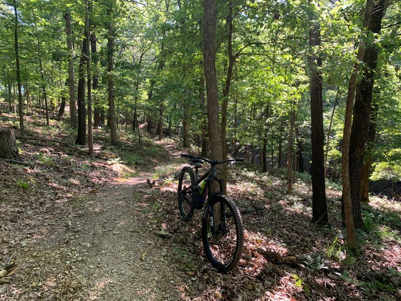 Trails That Lead You Through The Ozarks