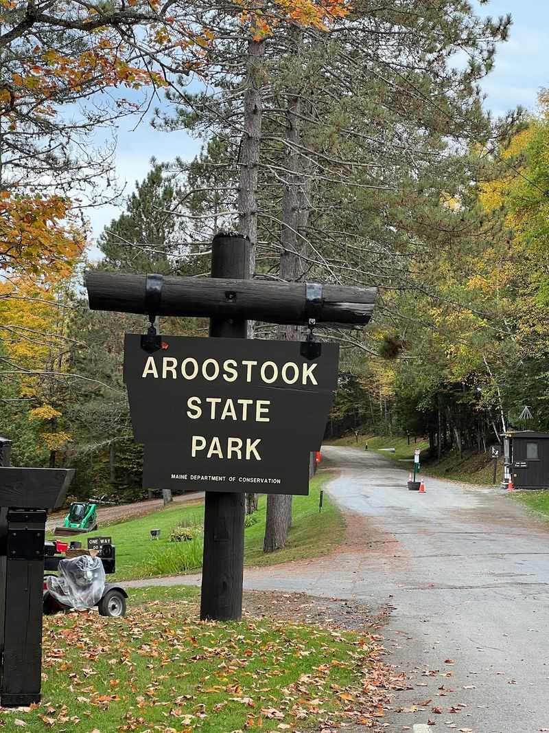 Aroostook State Park, Aroostook County