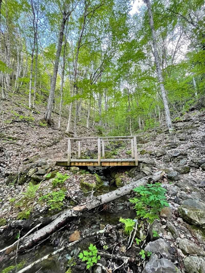 Aroostook State Park, Presque Isle