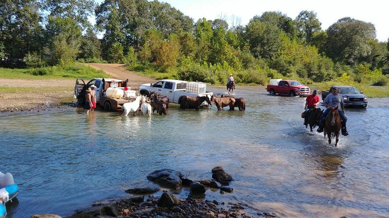 Around The Ranch's Most Action-Packed Corners