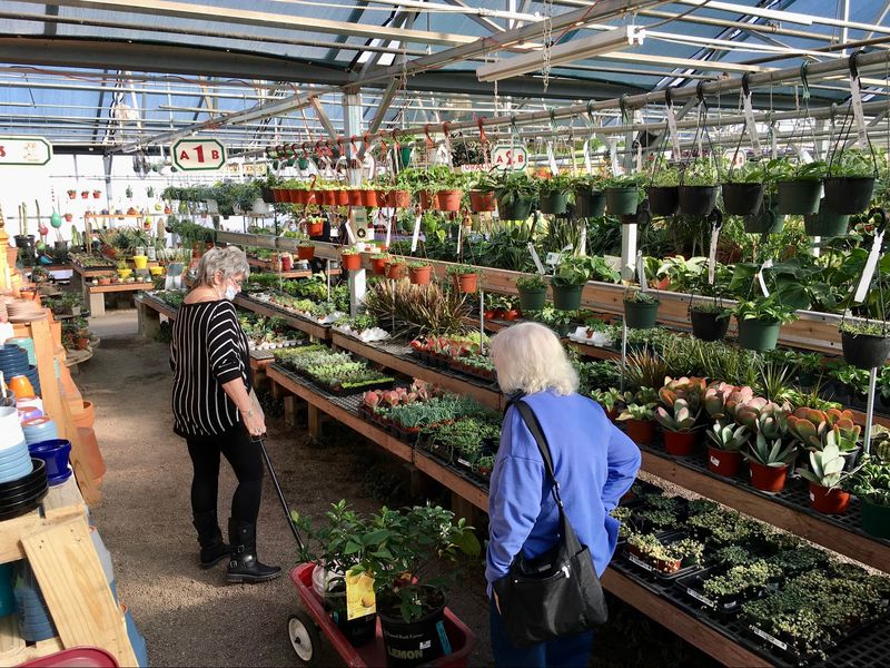 Arrival Feels Like A Practical Colorado Garden Stop