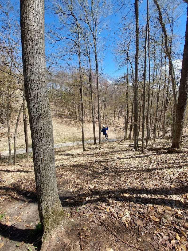 Trust The Trail Guides, They Know These Woods