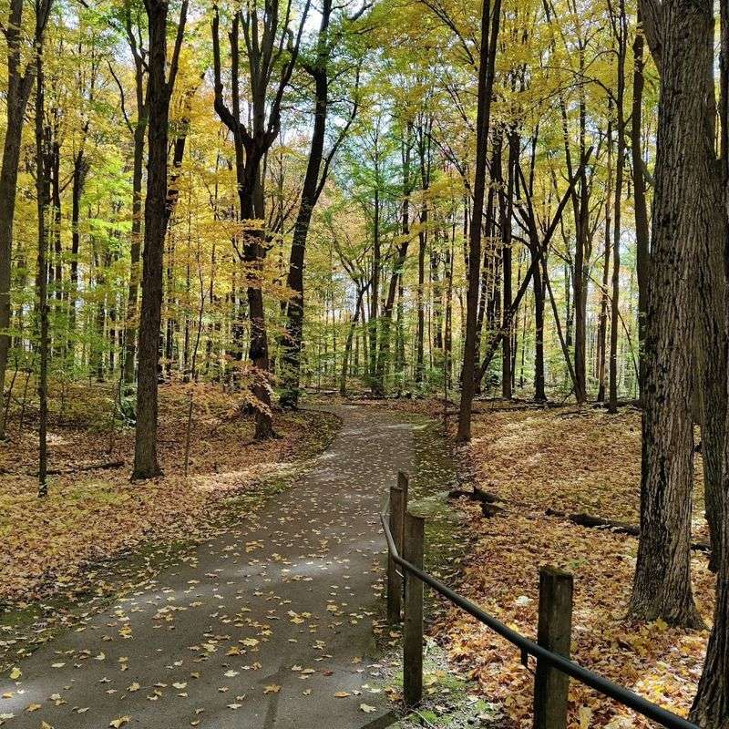 A Natural Escape In Oakland County