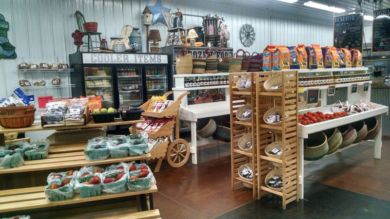 Arrive Early For Better Picking Arrive Early For Better Picking