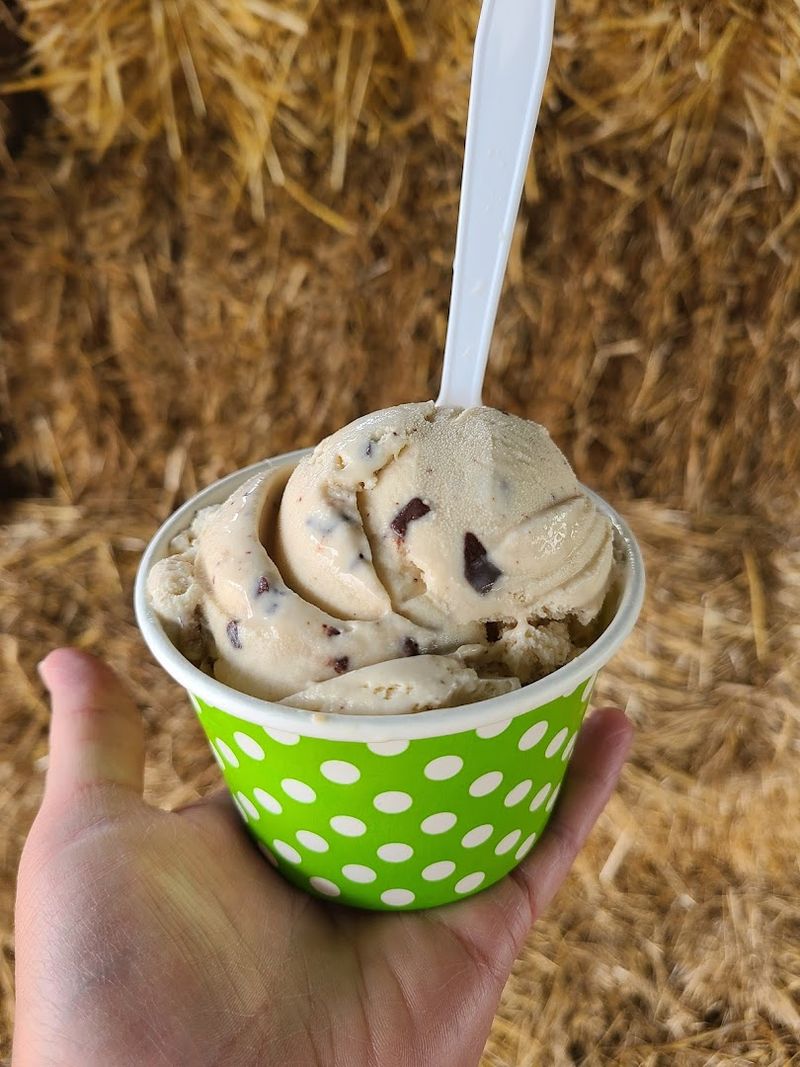 Black Cherry Ice Cream Is The Flavor That Earns The Drive Alone