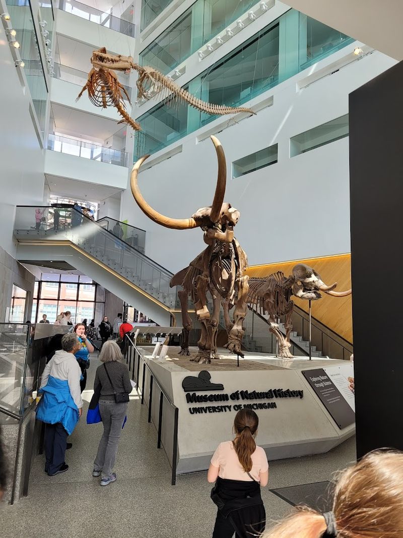 Arrive Ready For A Campus Museum, Not A Standalone Monument