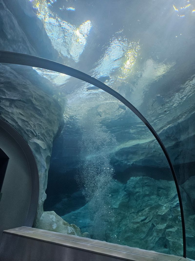 Notice The Architecture First