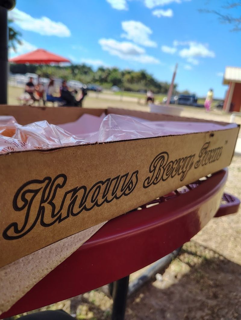 April Is The Sweet Spot For Your Visit