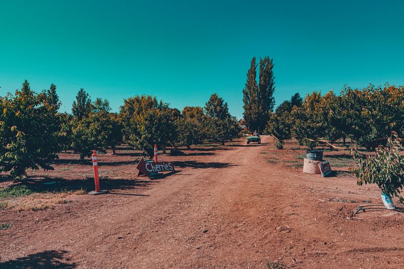 Why The Locals Keep Coming Back