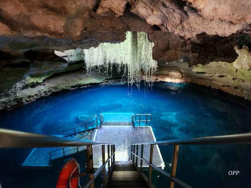 First Glimpse Into The Den