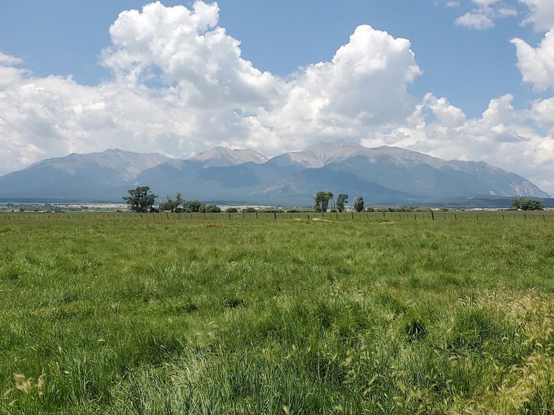 Arrowpoint Cattle Company