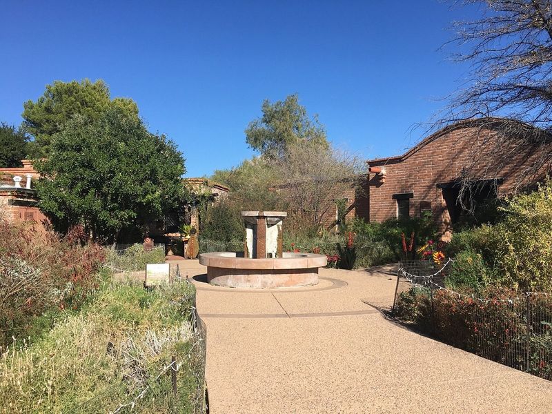 The Bistro That Serves Up Southwestern Flavors With A View