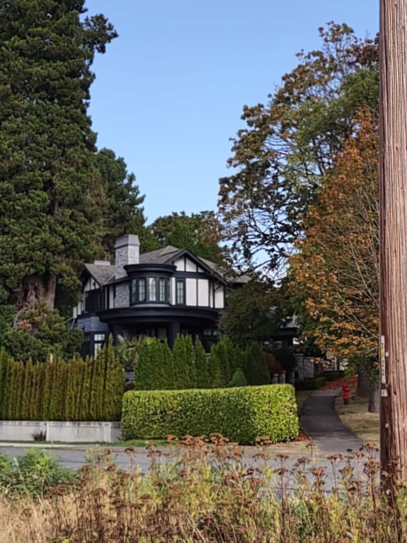 Art and History Under the Lightcatcher