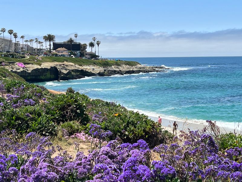 Oceanfront Energy at La Jolla Cove, La Jolla