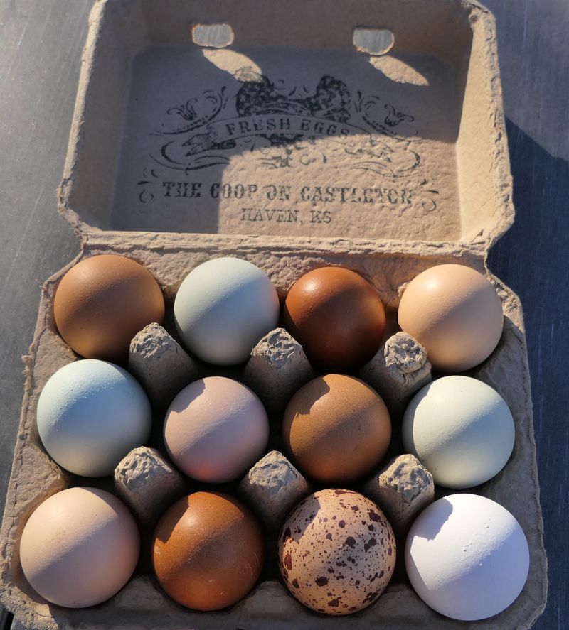 Farm-Fresh Egg Rainbow