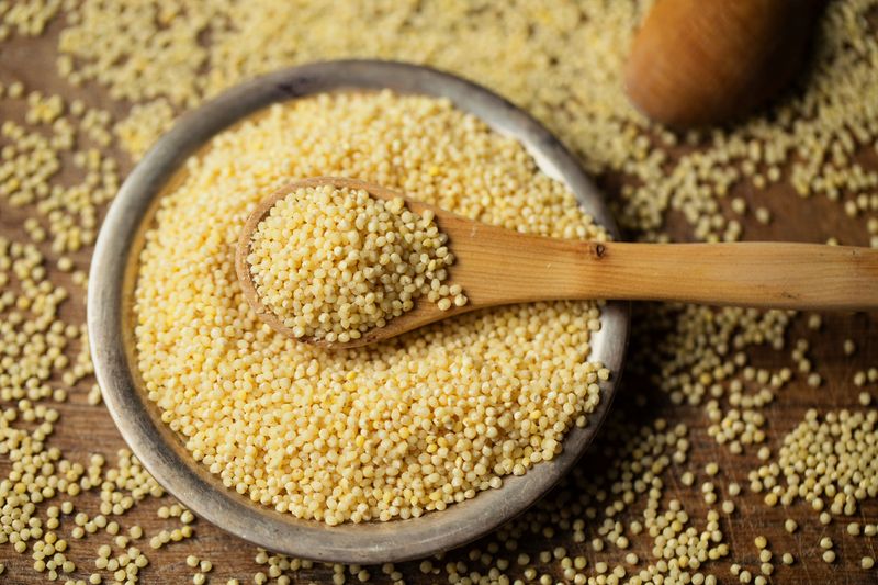 Foxtail Millet Sprouts