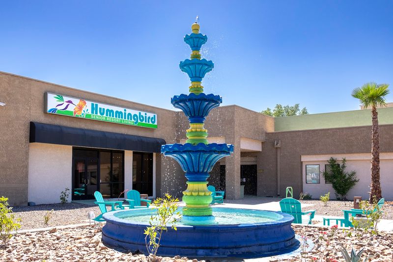 Hummingbird Month Celebrates These Tiny Treasures