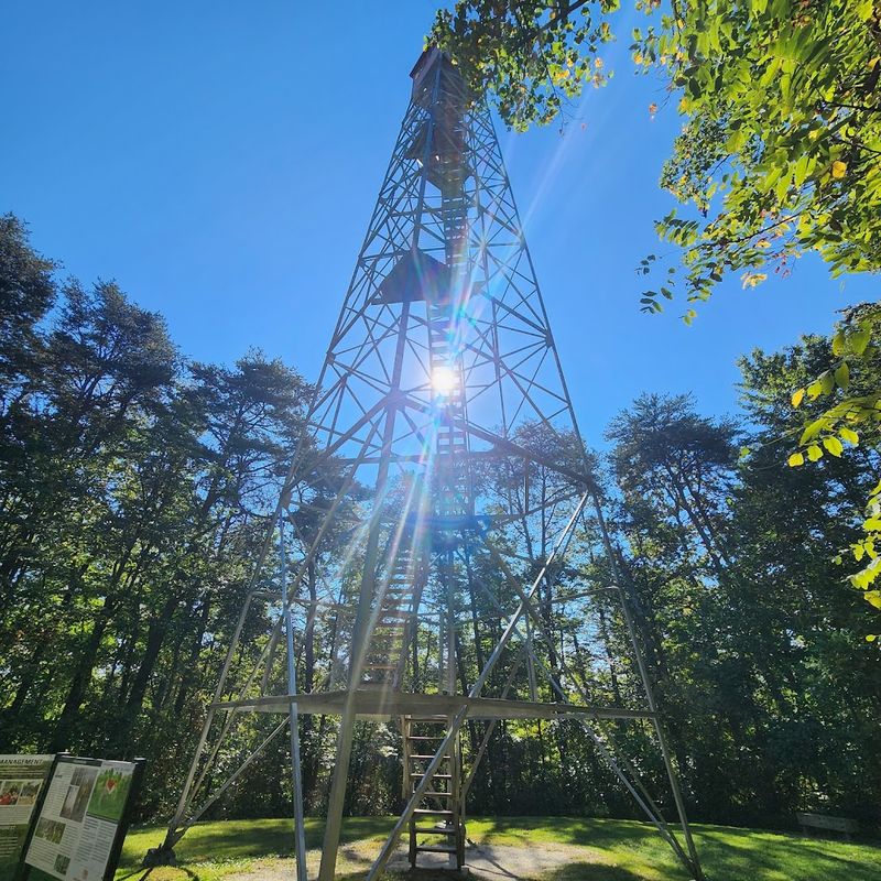 Ash Cave Fire Tower, South Bloomingville