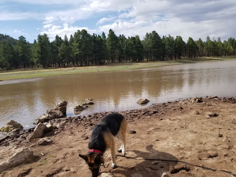 Ash Fork Area, Yavapai County, Arizona
