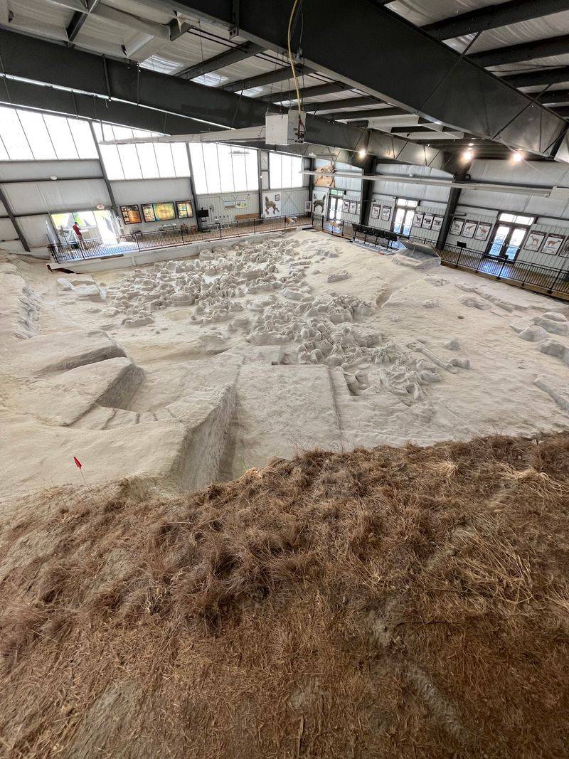 Ashfall Fossil Beds State Historical Park