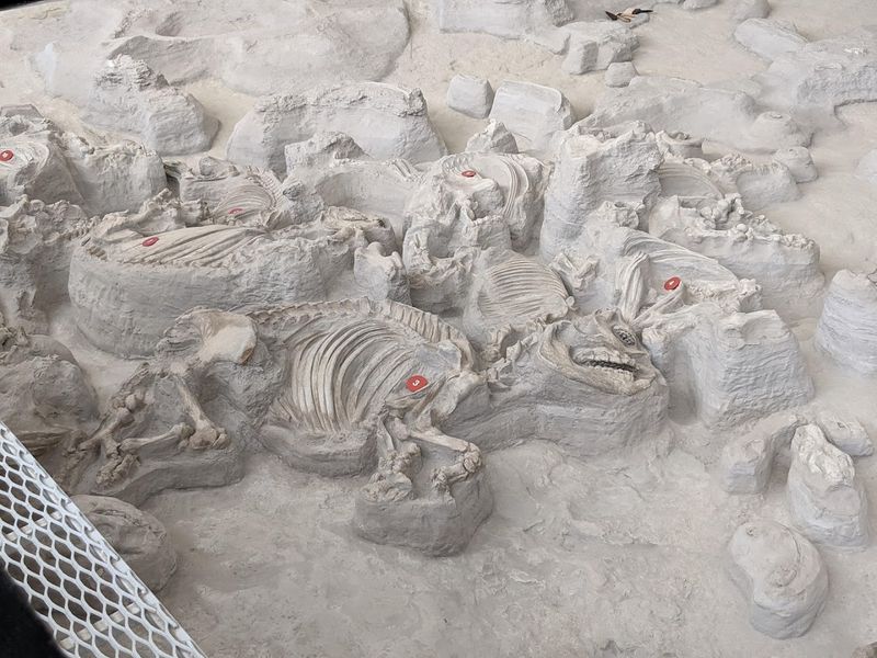 Ashfall Fossil Beds State Historical Park