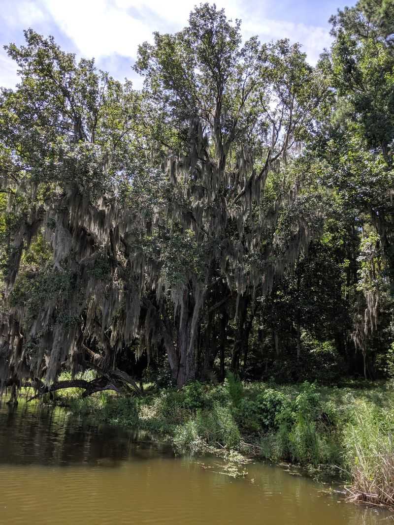 Ashley River Road National Scenic Byway Ashley River Road National Scenic Byway