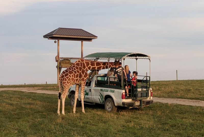 The Wilds (Near Cumberland)