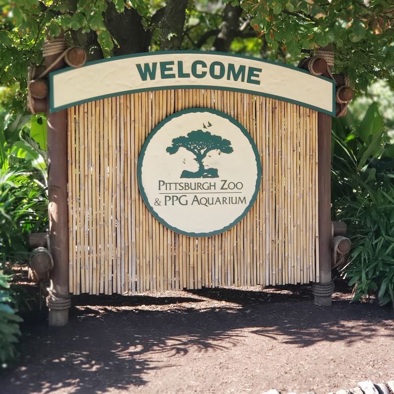 Free Parking Makes a Big Practical Difference