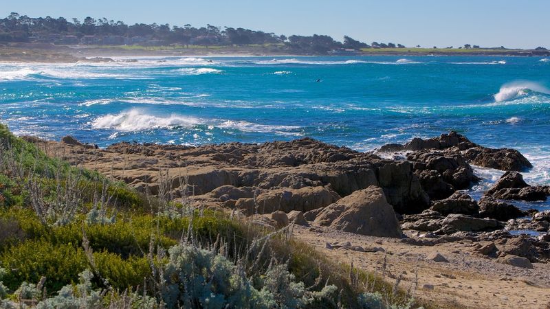 Asilomar State Beach, Pacific Grove Asilomar State Beach, Pacific Grove