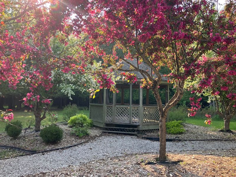 Follow The Morning Light