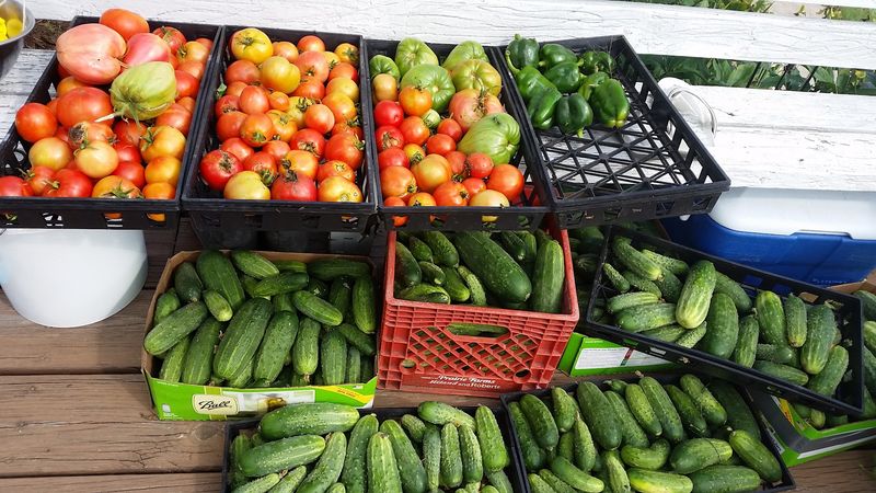 Ask About Garden-Fresh Additions Ask About Garden-Fresh Additions