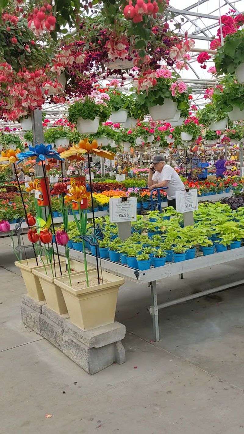 Ask About The Growing Systems