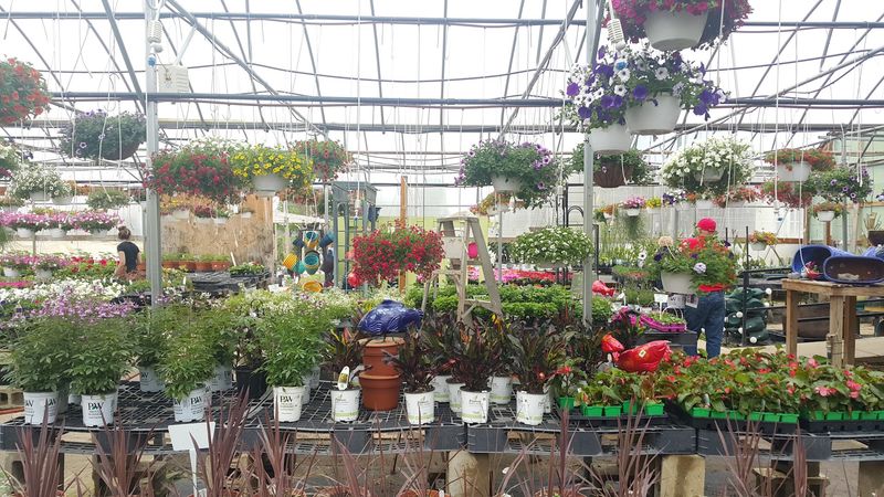 Ask Questions About Michigan Grown Stock Ask Questions About Michigan Grown Stock