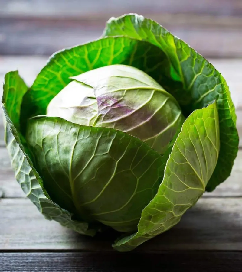 Cabbage: Budget-Friendly Superfood