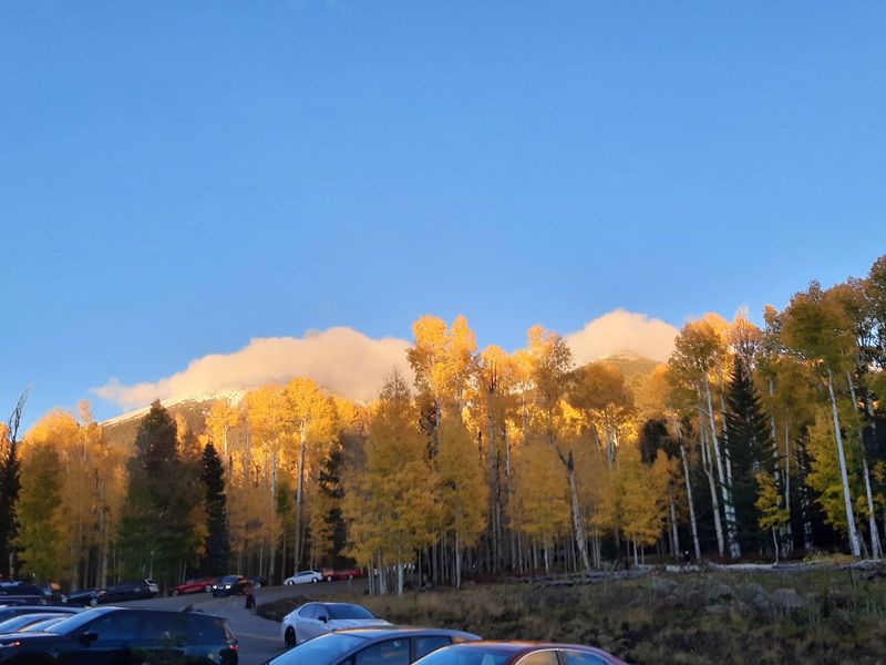 Aspen Corner