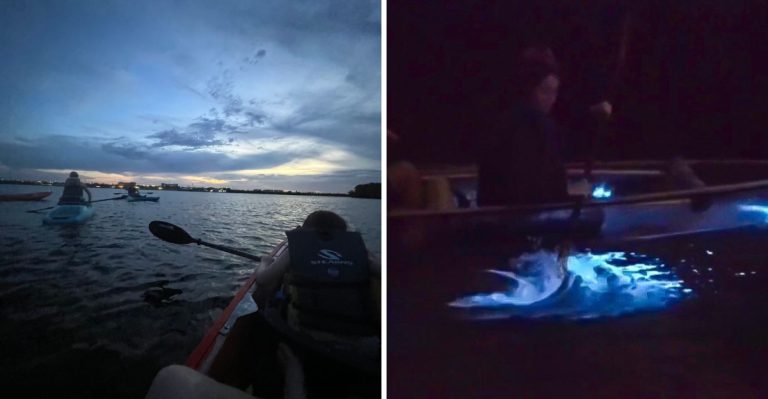 At Night, This Florida Lagoon Glows An Impossible Shade Of Blue