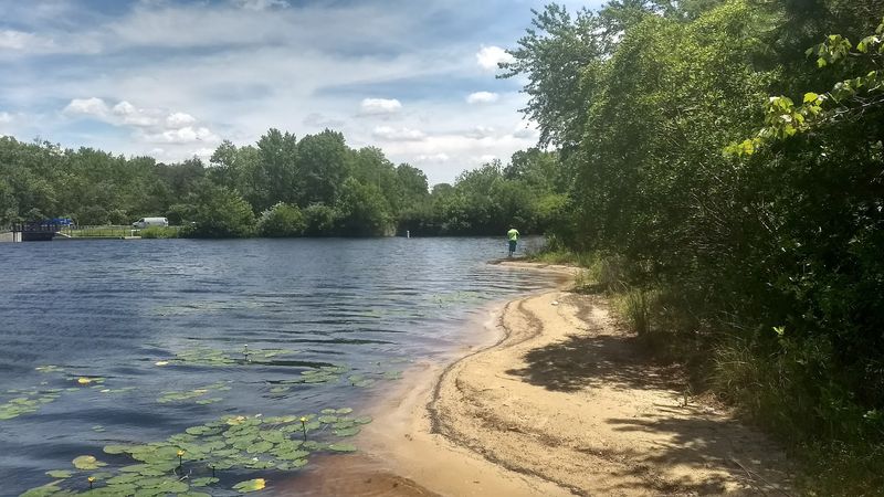 Atsion Lake At Wharton State Forest